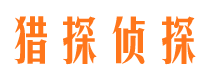 谯城市调查公司